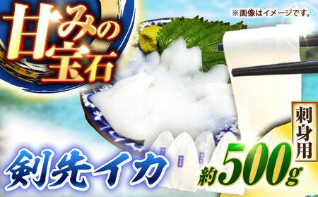 剣先イカ 刺身用 500g [JCC024] イカ刺し