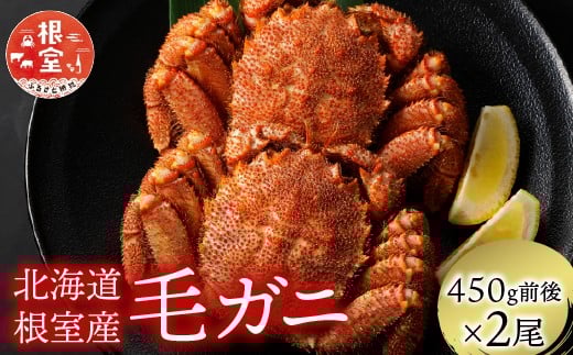 
            C-21003【12/21まで年内配送】 【北海道根室産】毛がに450g前後×2尾
          