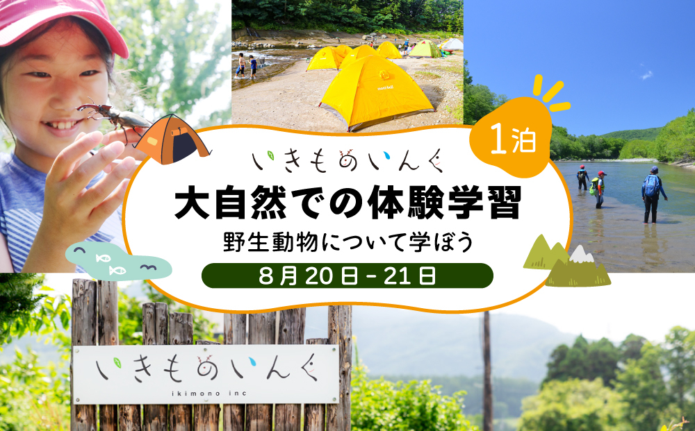 ＜2026年 8月20日(1泊)＞ 大自然での子ども体験学習キャンプ 野生動物について学ぼう！【imi-002】北海道 伊達市 アウトドア 自然体験 体験チケット