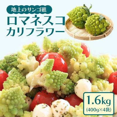 ふるさと納税 大崎町 冷凍カットロマネスコカリフラワー 400g×4袋(1.6kg)