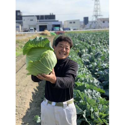ふるさと納税 久御山町 京都府久御山町産　おまかせ 季節の野菜 詰め合わせセット 4〜8品 |  | 03