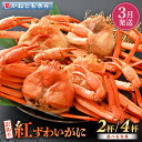 【ふるさと納税】【訳あり】≪浜茹で≫越前産 紅ずわいがに 約700g × 2杯 ～ 4杯 食べ方しおり付【紅ズワイガニ カニ かに 蟹 姿 ボイル 冷蔵 福井県】【3月発送分】希望日指定不可