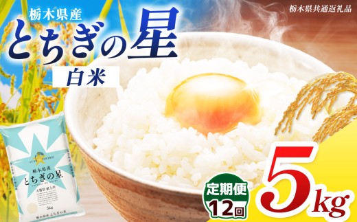 【栃木県共通返礼品】【先行予約】【令和8年度産】【定期12回】栃木県産とちぎの星 5kg |定期便 選べる ふるさと 納税 とちぎの星 お米 精米 白米 玄米 大粒 共通返礼品 送料無料 那珂川町 栃木県