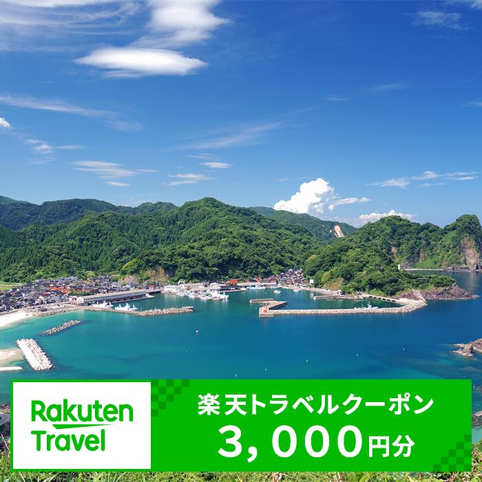 【ふるさと納税】兵庫県新温泉町の対象施設で使える楽天トラベルクーポン寄付額10,000円