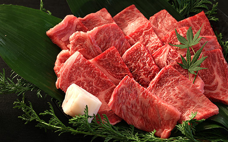 丹波篠山東門牛至宝の焼き肉セット（500g） AB21 産直 精肉店直送 高級 ハレの日 贅沢 グルメ 美味しい