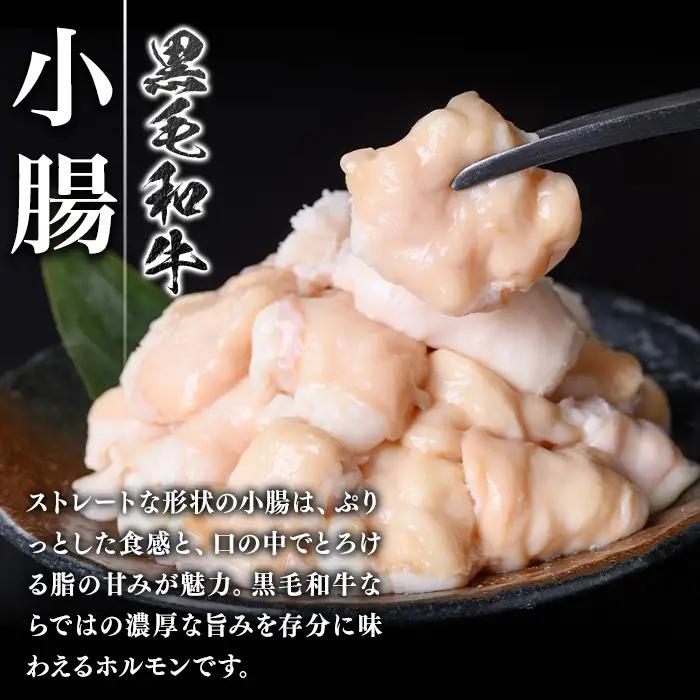 黒毛和牛 ホルモン 牛ホルモン 小腸 丸腸 セット 計約1kg 約500g×各1P もつ鍋 鹿児島県産 国産 真空パック 焼肉【新村畜産】A01038