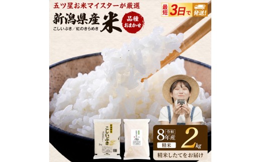 R8年産 新潟県産 品種おまかせ  2kg 新潟県 新潟市産 令和8年産 お米 精米 米 ご飯 送料無料