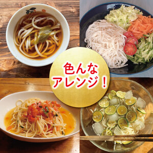 うどん 半田細うどん 2袋 うどん