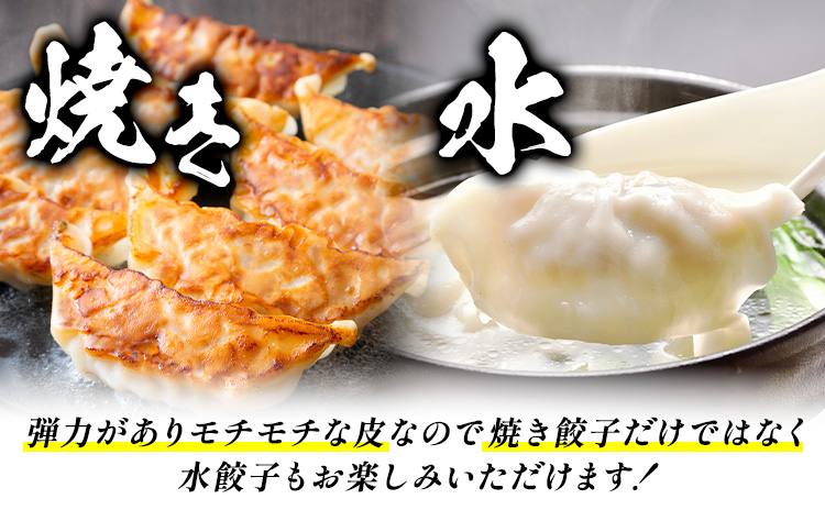 【3ヶ月定期便】鹿児島 うんまか豚 生餃子 108個 株式会社 寺師《お申込み翌月から出荷》鹿児島県 さつま町 餃子 ギョウザ 焼き餃子 水餃子