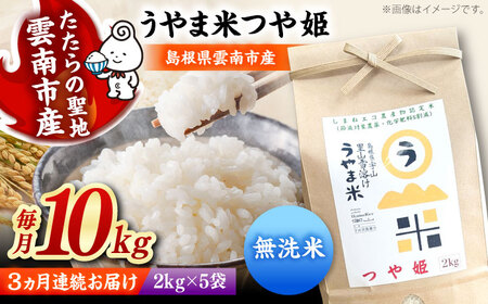 【3回定期便】無洗米 つや姫 10kg 令和7年産 無洗[AIDB097] 