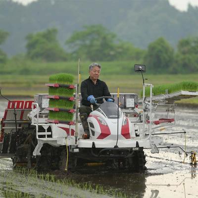 ふるさと納税 戸沢村 【定期便3回】令和7年度 山形県戸沢村産 雪若丸 5kg×3回 合計15kg F7W-0165 |  | 02