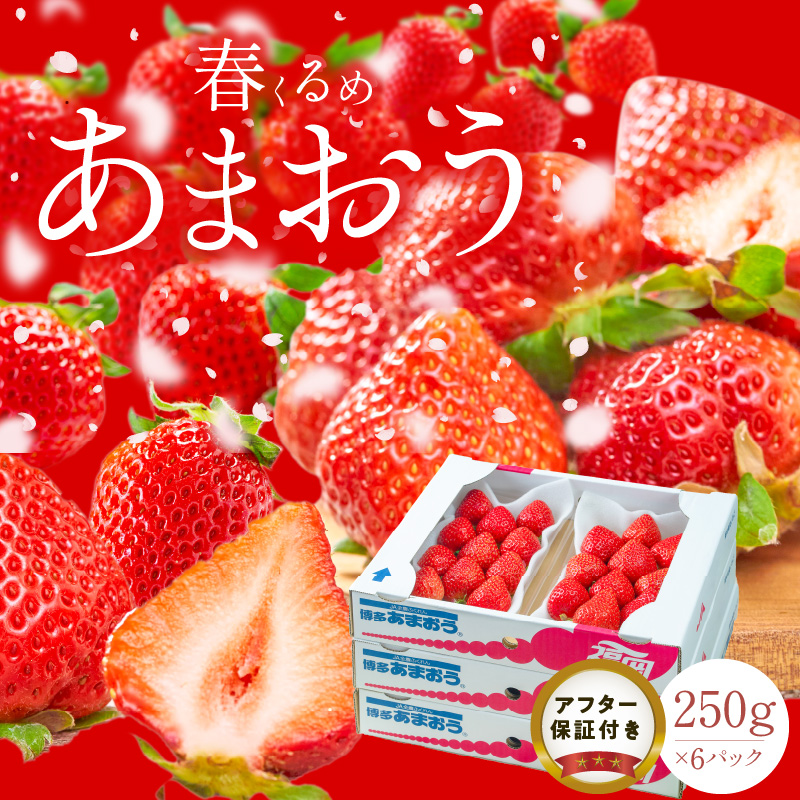 【2027年2月以降お届け】福岡産［春］あまおう6パック_春くるめ あまおう 250g × 6パック 合計 1.5kg 冷蔵 濃厚 甘い 果汁 アフター保証 安心安全 酸味 甘味 国産 いちご 果物 アレンジ おやつ フルーツ スイーツ スムージー ジャム 南国フルーツ お取り寄せ 福岡県 久留米市 送料無料_Fi013