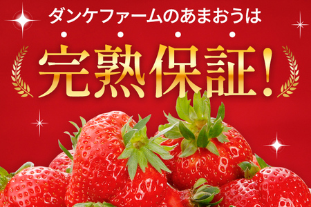 あまおう 約550g （先行受付／2025年1月以降順次発送予定）いちご 大粒 不揃い DX デラックス エクセレント 苺 イチゴ 福岡高級 フルーツ 土産 福岡県