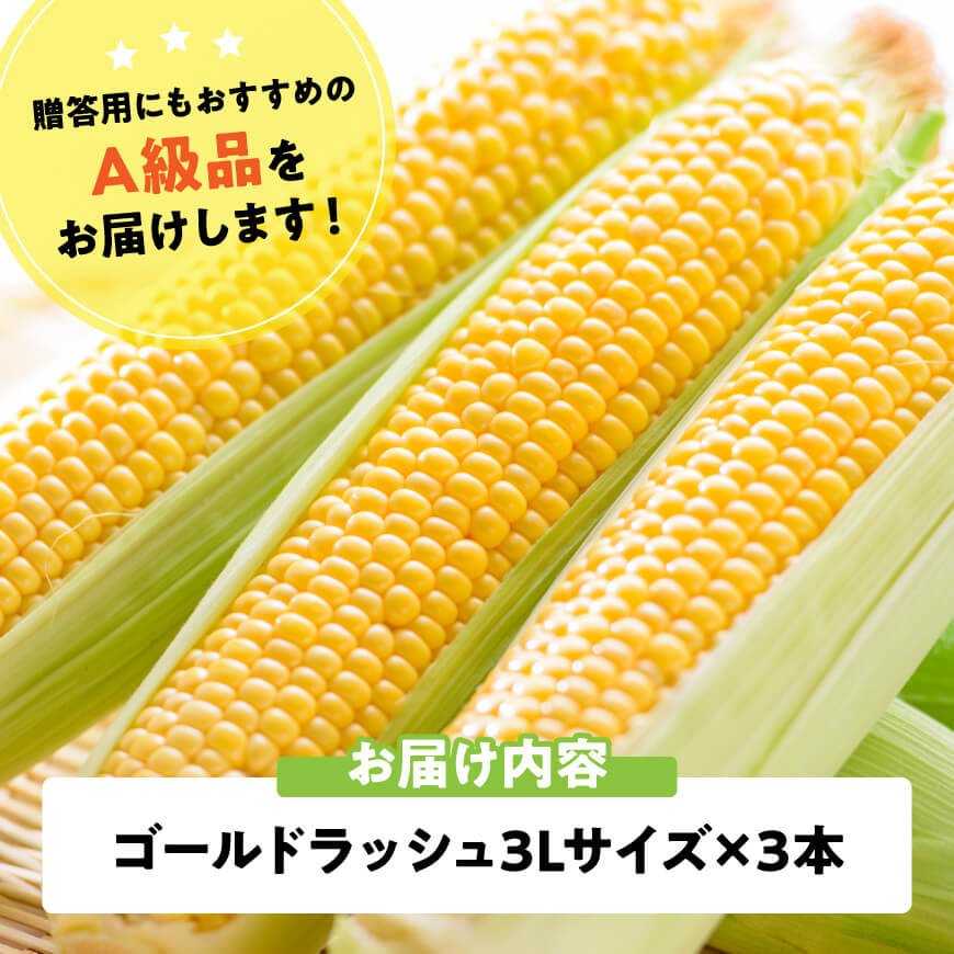 【令和7年発送】宮崎県産とうもろこし　スイートコーン「ゴールドラッシュ」3L×3本【新鮮 農家直送 トウモロコシ 産地直送 季節限定 期間限定 宮崎県産 九州産】[D09105]