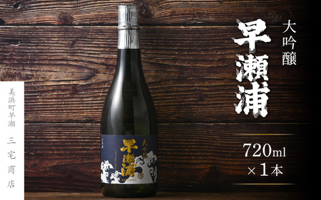 入手困難【早瀬浦】大吟醸 720ml × 1本【日本酒 地酒 福井 美浜 早瀬 フルーティ 男酒 硬水 ミネラル 希少 ご褒美 家飲み 就職祝い 転職祝い ハレの日】 [m16-b027]