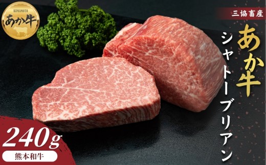 
                  【三協畜産】あか牛 シャトーブリアン 120g×2枚 計240g ステーキ バーベキュー BBQ 焼肉 精肉 あか牛 赤牛 牛肉 あか牛 あか牛丼 国産 簡単 お取り寄せ 冷凍 お土産 ギフト 贈り物 贈答用 豪華 セット ご当地 簡単 手軽 贅沢 ご褒美 お祝い 人気 晩ご飯 熊本県 阿蘇市
                