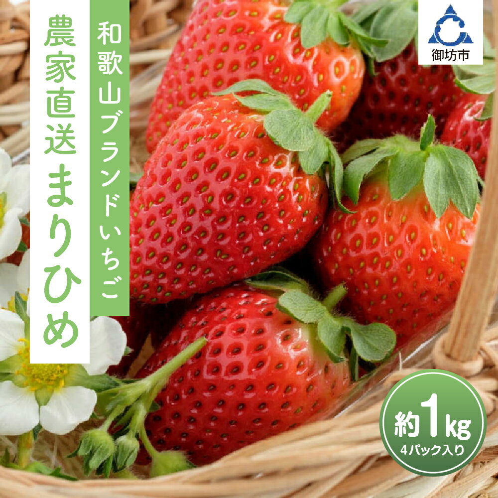 【ふるさと納税】まりひめ4パック入り1kg「和歌山ブランドいちご」農家直送《先行予約》【配送不可地域：北海道・青森・秋田・岩手・沖縄】 いちご 苺 イチゴ フルーツ くだもの 果物 旬 パック 送料無料 ふるさと納税 いちご 発送時期が選べる