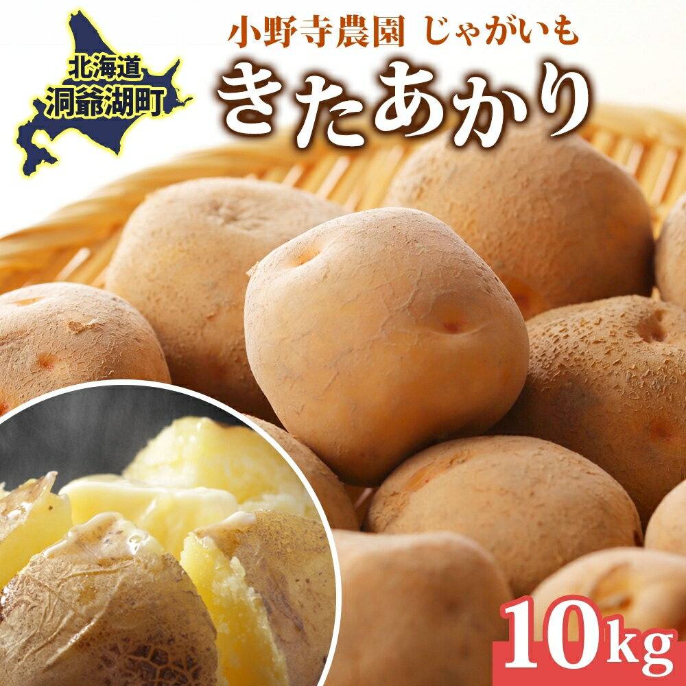 【ふるさと納税】じゃがいも きたあかり 10kg 10月初旬～12月中旬お届け 栗じゃがいも ホクホク 甘い ポテトサラダ コロッケ 産地直送 お取り寄せ 国産 小野寺農園 北海道 洞爺湖町　お届け：2025年10月初旬～12月中旬まで