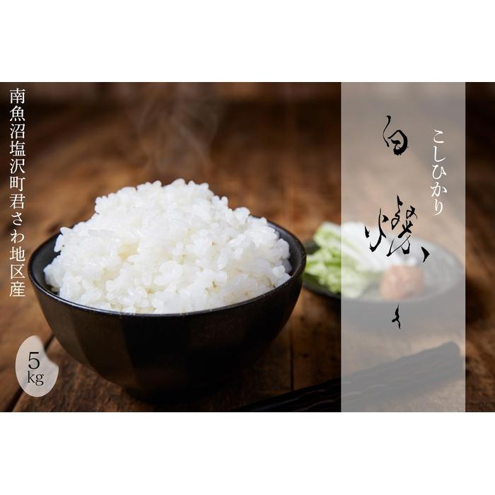 【令和7年産】南魚沼君沢産こしひかり　白燦々5kg【玄米】（従来品種）