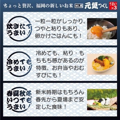 福岡県産米　酸味料不使用「元気つくし」パックご飯　200g×48パック(岡垣町)