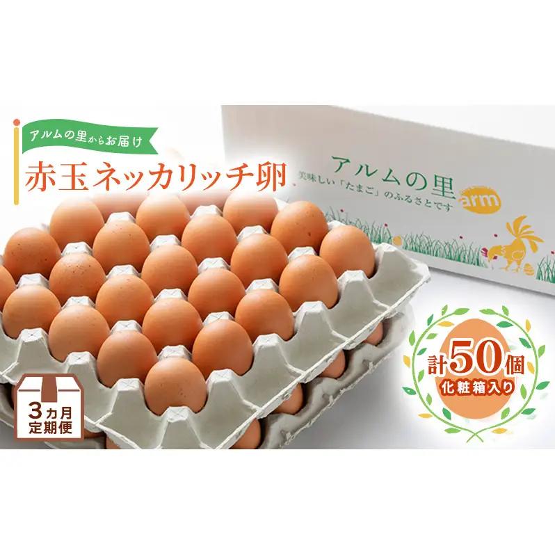 卵【3回 定期便】 赤玉 ネッカリッチ卵 50個入り 鶏卵 たまご