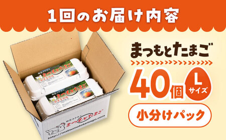 12回定期便 まつもとたまご 40個 Lサイズ 卵 CCD004 卵