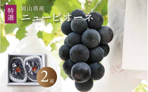 真庭市産 ニューピオーネ 特選大房 2房 / (2025年8月中旬以降発送予定) ぶどう 贈答用 ギフト 岡山 真庭 ピオーネ  真庭市 大粒 葡萄 果物 フルーツ 濃厚 ピオーネ 人気 数量限定 黒ぶどう 大粒 種なし スイーツ 【pione03】