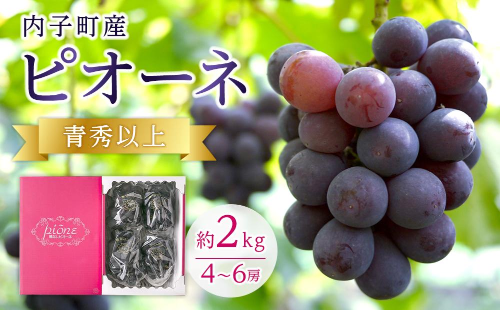 内子町産 ピオーネ 青秀以上 4～6房 2kg ★2025年8月下旬から発送★【北海道・沖縄配送不可】