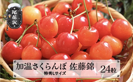 先行予約 加温 さくらんぼ 佐藤錦 特秀Lサイズ 24粒 150g 5月上旬~5月下旬頃発送  プレゼント ギフト チョコ箱入 2025年産 令和7年産 ハウス ハウス栽培 山形県産 ns-sntlc