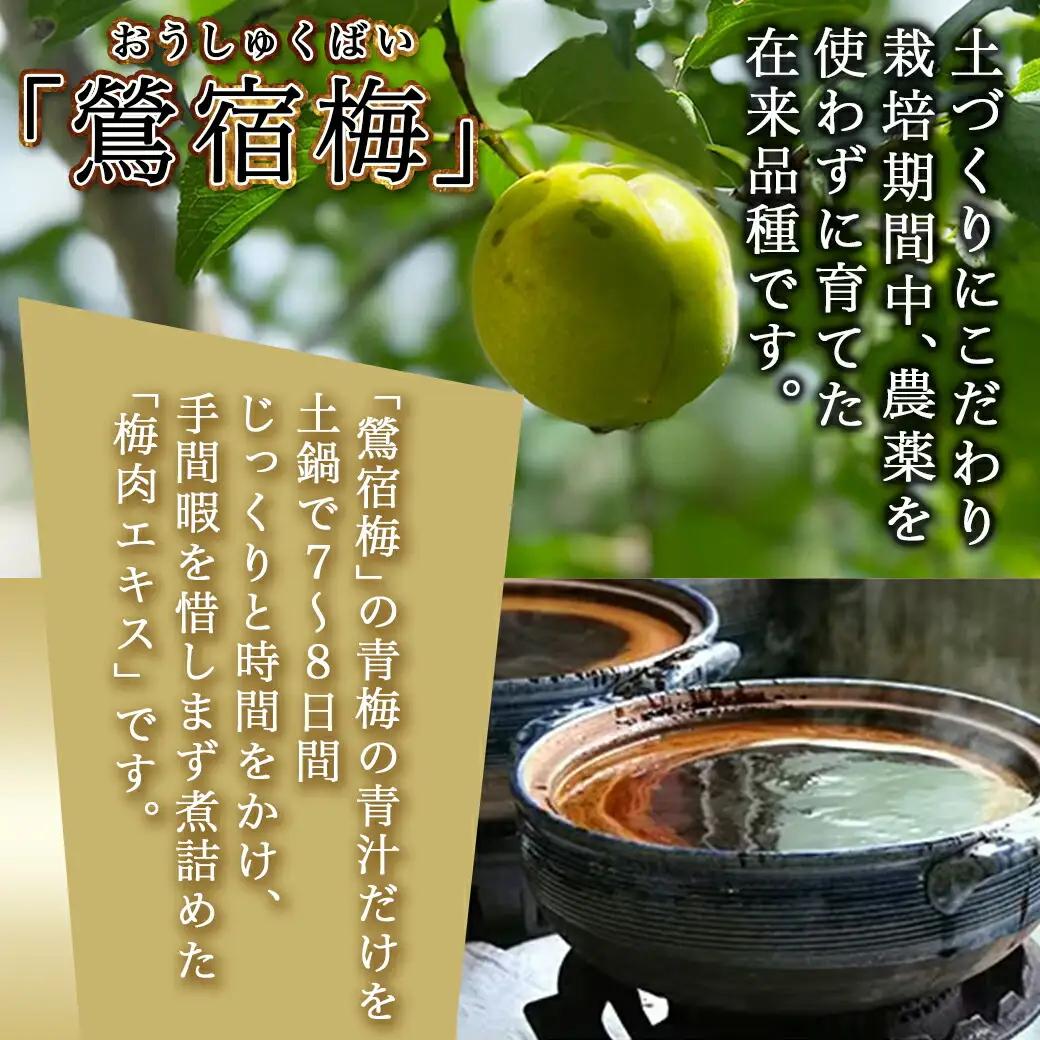 徳重ばあちゃんが受け継いだ「鶯宿梅（おうしゅくばい）」の梅肉エキス〔AD-49-002-115g〕_ (都城市) 梅肉エキス(50g×2/15g×1) 合計115g ミネラル成分たっぷり 梅エキス 伝