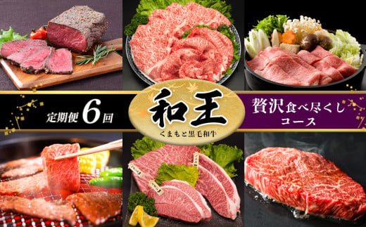 
【 定期便 6回 】 和王 贅沢食べ尽くしコース A5 等級 牛肉
