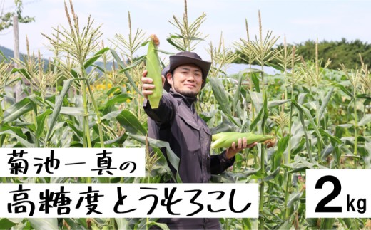 【先行予約】 とうもろこし ゴールドラッシュ 約 2kg 菊池一真 農家直送 とうもろこし トウモロコシ コーン 先行予約 季節の野菜 夏野菜 野菜 岩手県 遠野市 先行予約 産地直送 甘い 高糖度 【2026年7月下旬頃発送予定】