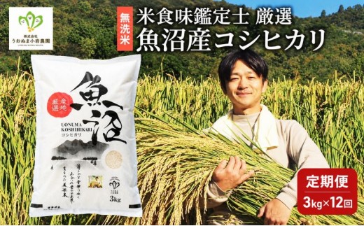 
                  無洗米「米食味鑑定士 厳選」魚沼産コシヒカリ 3kg 12ヵ月連続お届け　米 こめ お米 コメ こしひかり 新潟県 魚沼市 魚沼 ライス ご飯 主食 新潟県産 産地直送 時短
                