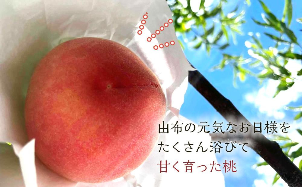 【2024年8月中旬以降より発送】旬の桃おまかせ2kg・6～8玉（自家製有機肥料・減農薬・化学肥料無使用）
