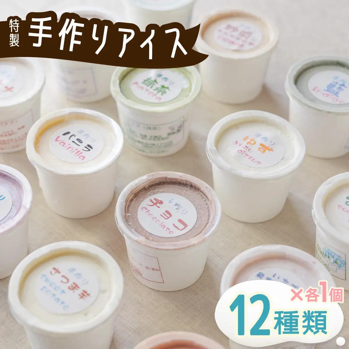 海陽町特製アイス　ユニークな味１２種類セット！ 