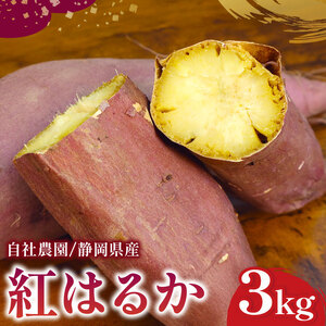 紅はるか 3kg  さつまいも  紅はるか 芋 国産  静岡県産 牧之原市 家庭用 秋の味覚 おやつ 高糖度 しっとり 濃厚 甘い  焼き芋 スイートポテト 干し芋