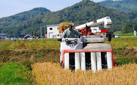 愛別町産米（ななつぼし2kg＆もち米2kg）【A53213】