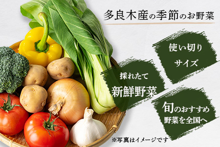 【定期便6回】熊本の大地の恵み 旬の こだわり野菜詰め合わせセット 8〜12品 （3〜4名様向け）6回配送 獲れたて 新鮮 野菜 セット 詰め合わせ 詰合せ 定期便 産地 直送 国産 季節 旬野菜 家