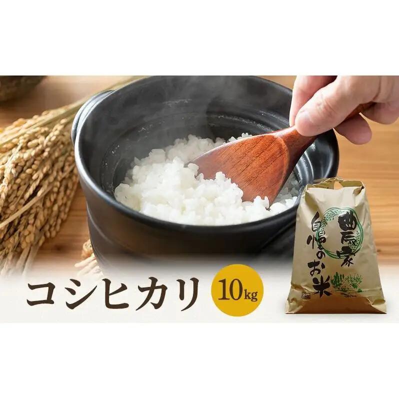 コシヒカリ 11月お届け 10kg コシヒカリ
