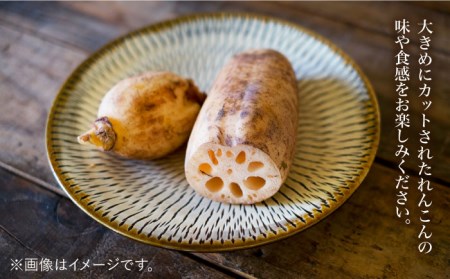 白石れんこんのまぜご飯の具（3種） / れんこん [IAZ011]