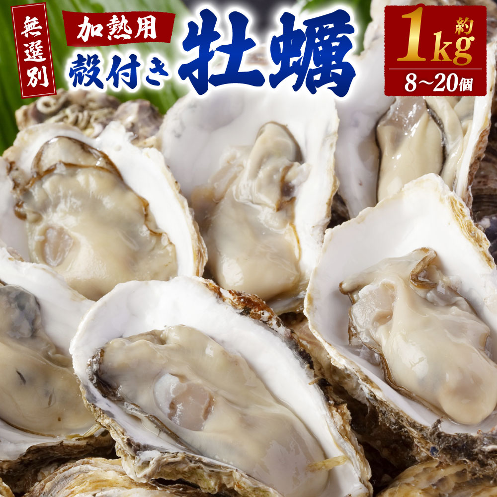 【ふるさと納税】【無選別】加熱用 殻付き牡蠣 1kg （8～20個）【2026年1月下旬-2026年3月下旬発送】| 牡蠣 かき カキ 殻付き 加熱用 調理用 焼き牡蠣 蒸し牡蠣 牡蠣鍋 カキフライ 牡蠣の酒蒸し 魚介 海鮮 BBQ バーベキュー 国産 冷蔵 大阪府 阪南市 送料無料