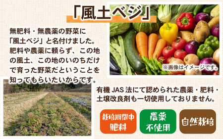 【期間限定】淡路島産 合鴨農法米玄米2kg＋自然栽培野菜セット / 野菜セット