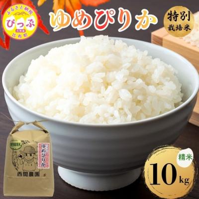 ふるさと納税 比布町 【令和8年産 新米先行受付】特別栽培米 ゆめぴりか 精米 10kg(5kg×2) 【西間農園】