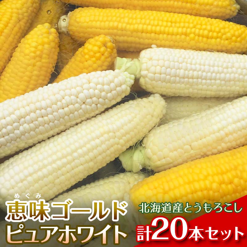 【ふるさと納税】【2026年8月中旬発送開始】北海道産とうもろこし（恵味ゴールド10本・ピュアホワイト10本セット） EB8-0449