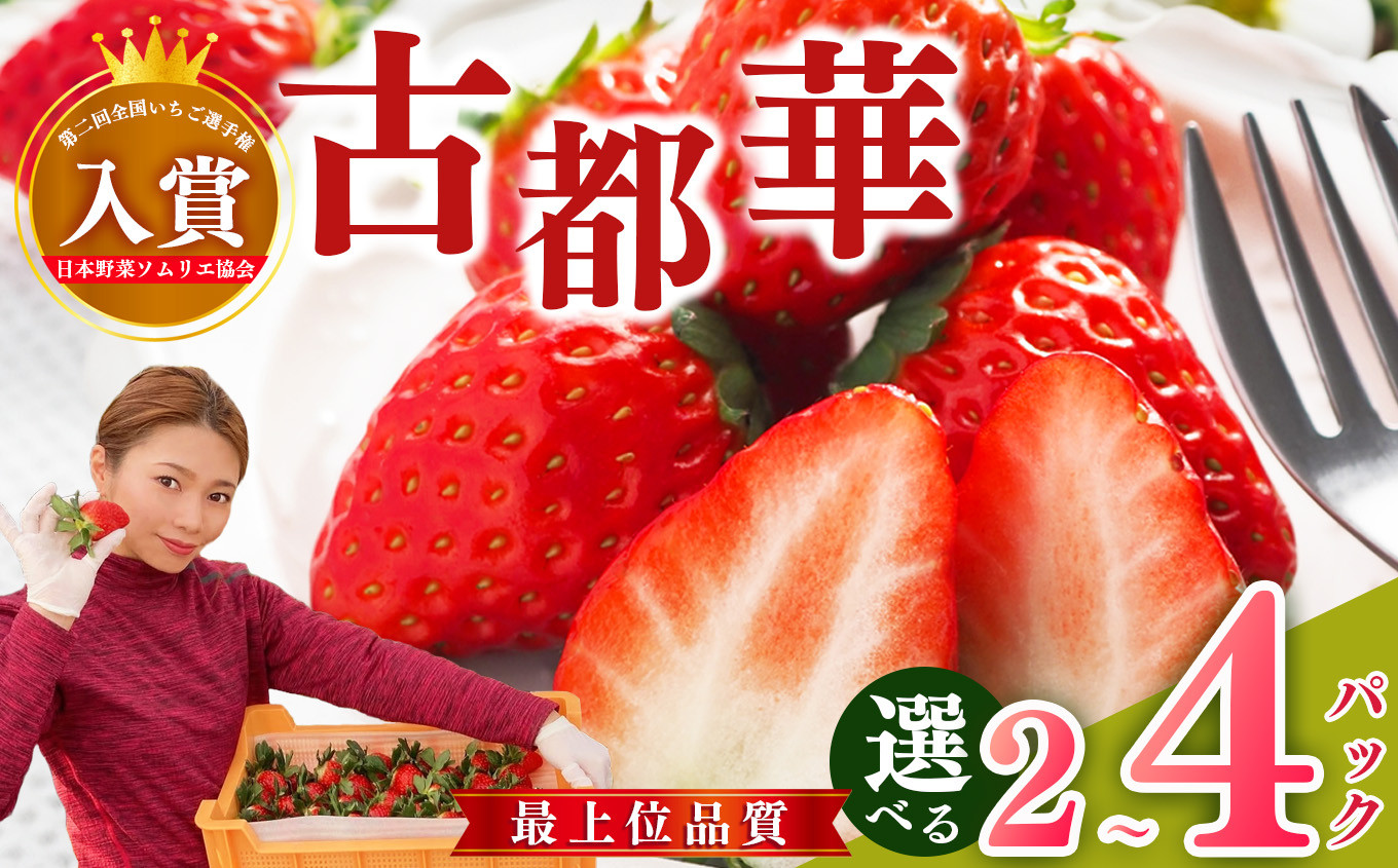 
            最上位品質 苺の神髄 大和なでし苺 古都華  | 奈良県西吉野産 フルーツ くだもの 果物 いちご イチゴ 大和なでし苺 ことか コトカ 古都華 奈良県 五條市 ブランド 苺  品種 特徴 糖度 ルビー色 旬 1月 順次発送 橋本農園 産地直送 農家直送 お取り寄せ 送料無料 グルメ フレッシュ 果実 新鮮 ブランド苺 ストロベリー 冷蔵 おすすめ こだわり 高糖度 減農薬栽培
          