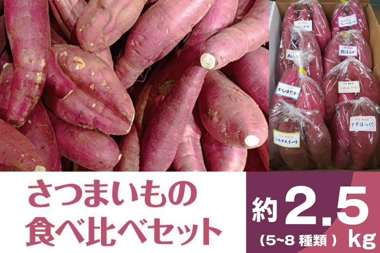BZ-16　【2024年11月より順次発送】2024年度産 いろんなさつまいも食べ比べセット 約2.5kg(5～8品種)