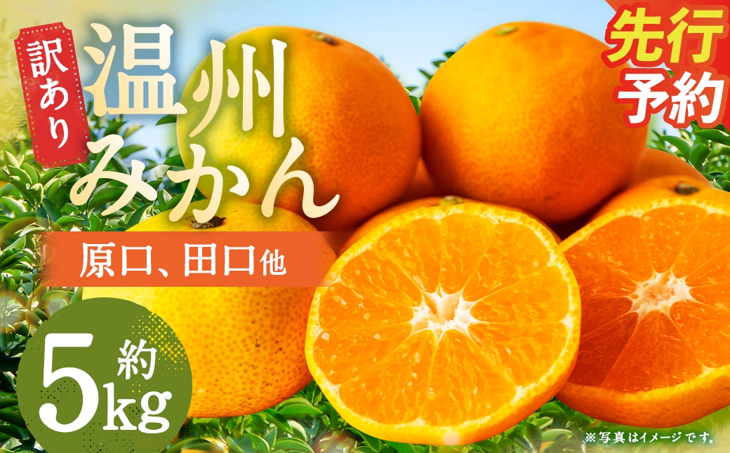 【訳あり】 長崎県時津町産 温州みかん （原口、田口他） 約5kg （2L～3Lサイズ） 【年内発送：2026年11月下旬～12月下旬迄発送予定】 5キロ 蜜柑 みかん 柑橘 果物 果実 フルーツ 国産 九州 長崎県 時津町 常温