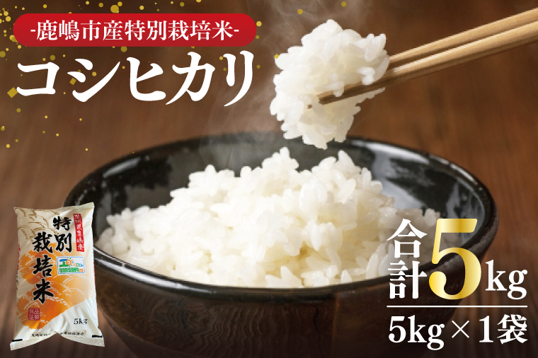 【令和7年産】鹿嶋市の子どもたちが食べている特別栽培米コシヒカリ（5kg×1袋）【お米 米 こしひかり 特別栽培 有機肥料 有機栽培 鹿嶋市 茨城県 白米 新米 おにぎり ごはん 15000円以内】(KBS-6)
