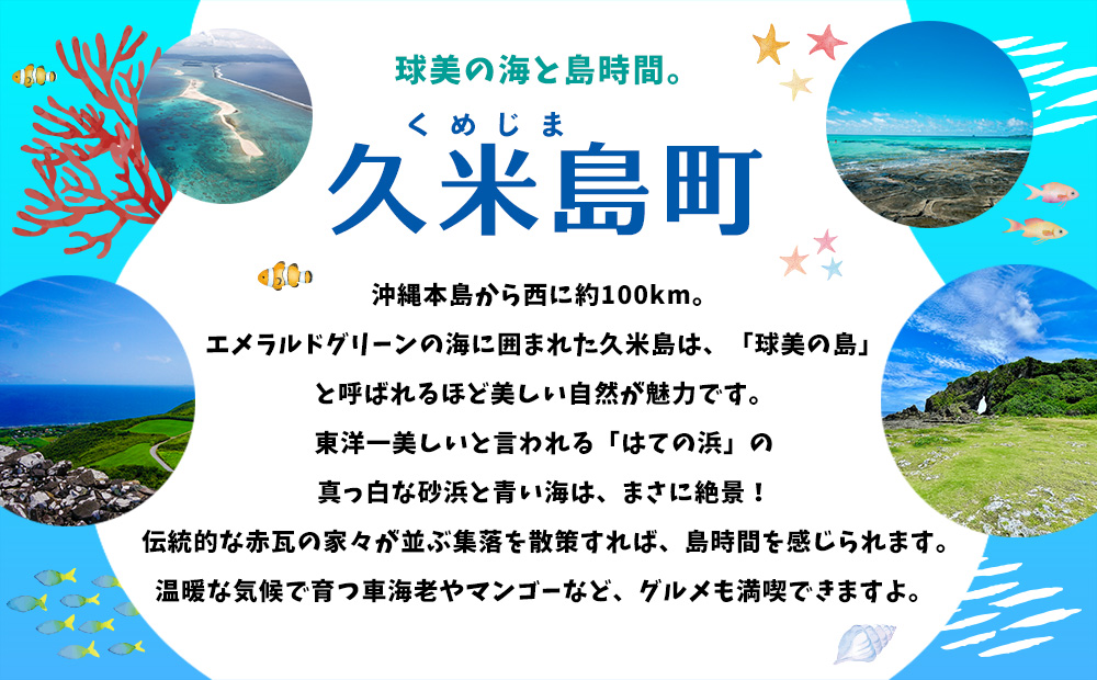 【沖縄県久米島町】HISふるさと納税旅行クーポン 6万円分