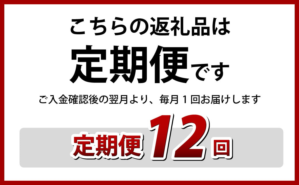 【全12回定期便】長崎カステリーヌショコラ 1本